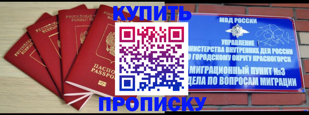 временная регистрация для всех в Зеленогорске